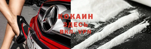 шишки Алзамай