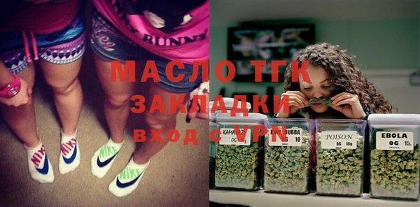 индика Сафоново