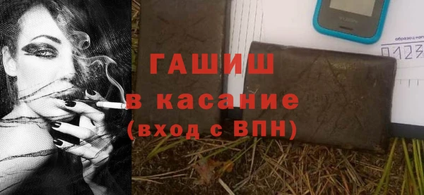 шишки Алзамай